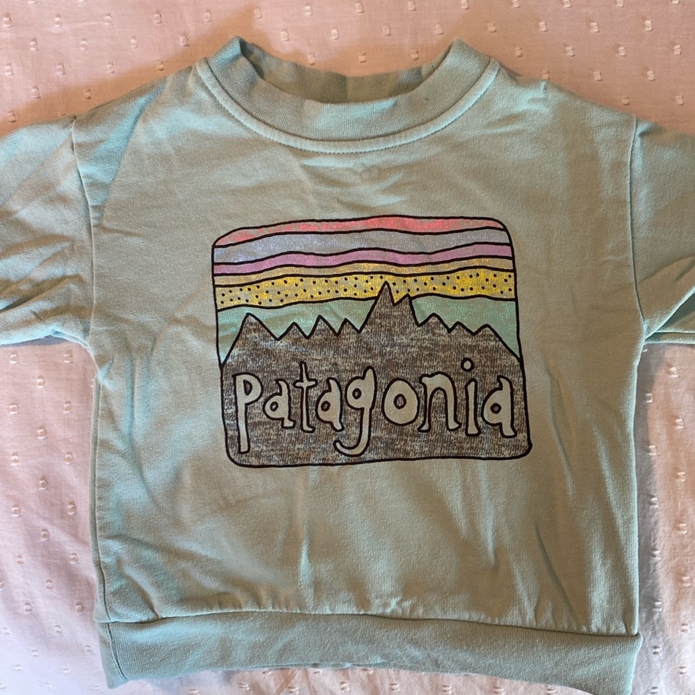 18 month Patagonia Crewneck